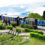 darjeeling train ride