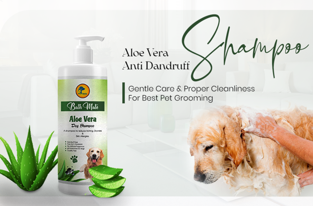 Bathmate Aloe Vera Anti Dandruff - The Digital Today