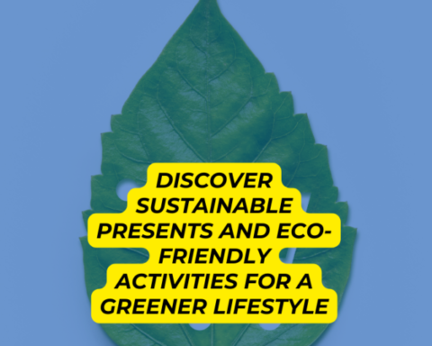 eco friendly activity