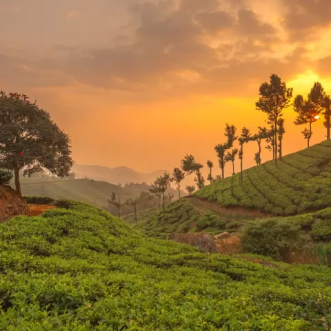 top travel destinations