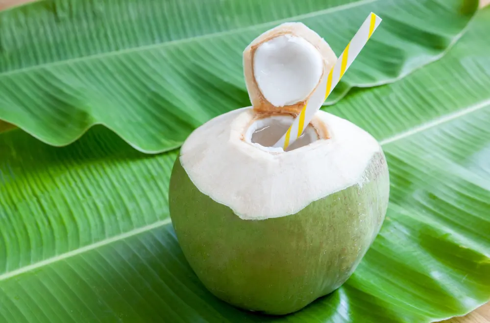 Coconut