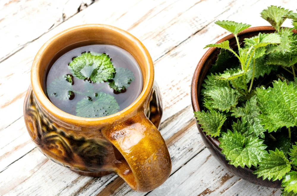 weed tea india