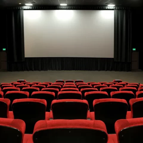 2024 movies