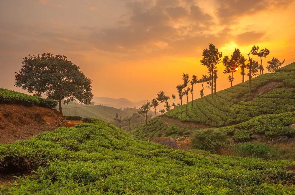 Munnar