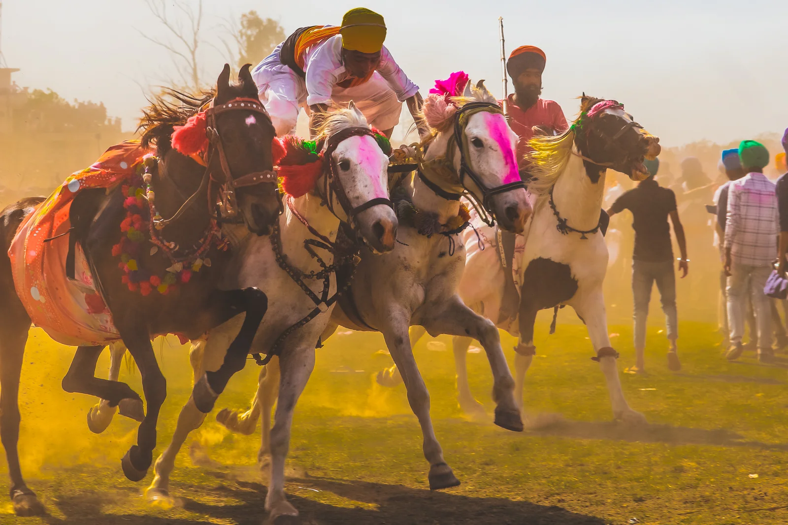 Hola Mohalla in Punjab