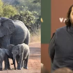 Anant Ambani reveals 'Vantara