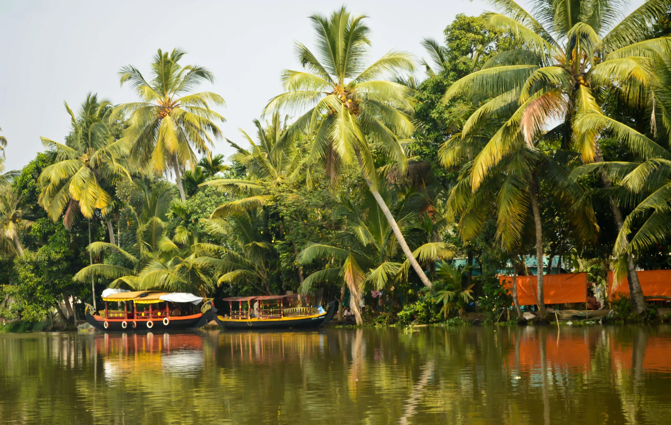 The Mesmerizing Backwaters of Kerala