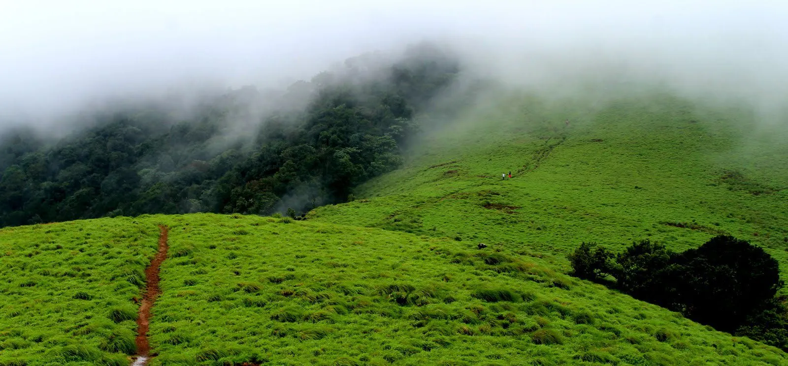 Paithalmala, Kerala