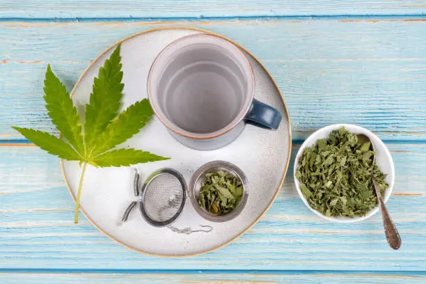 cannabis tea