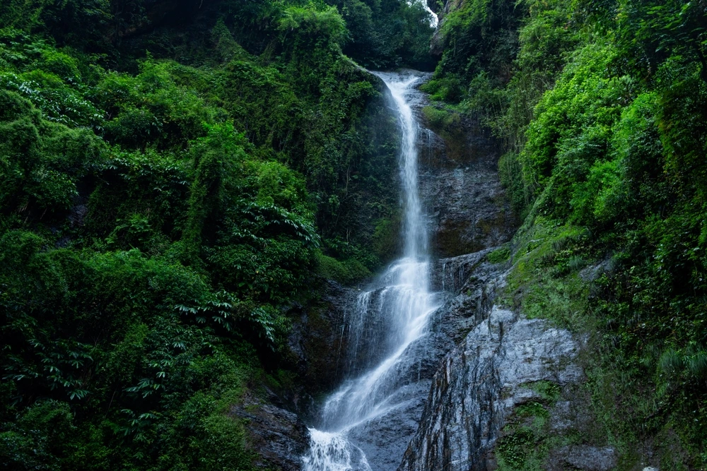 Chadwick Falls