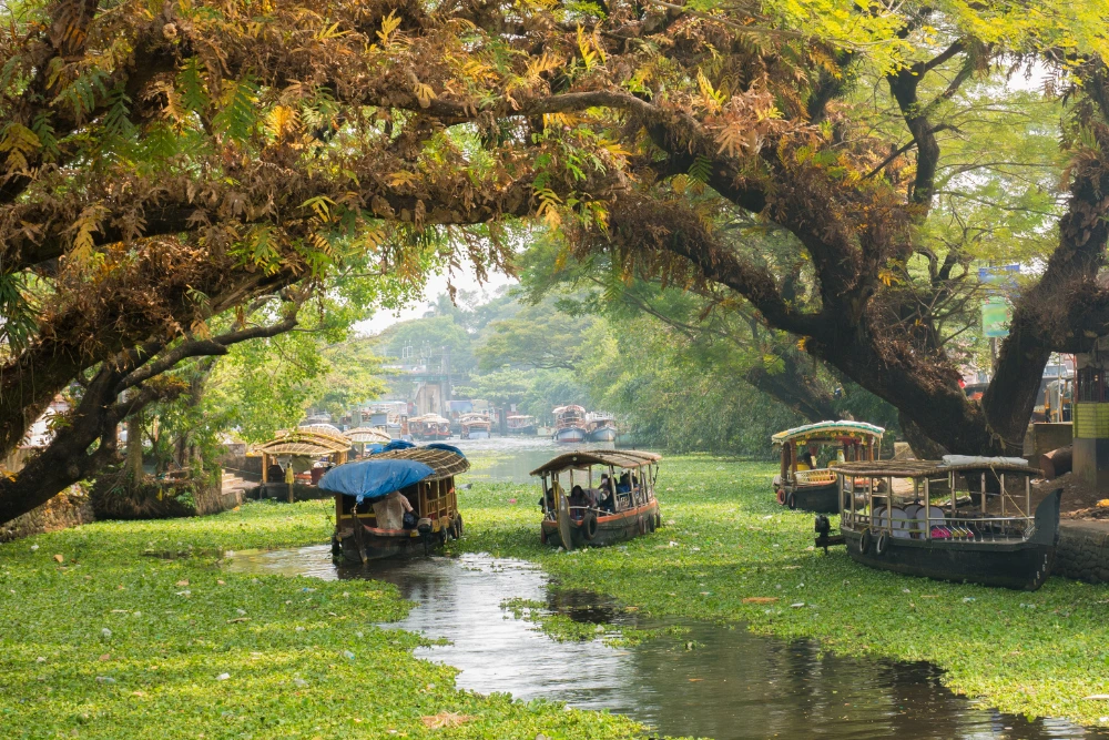 Alleppey, Kerala