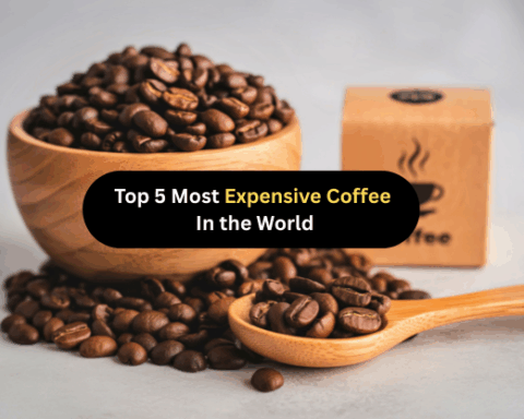 Top 5 Most Expensive Coffee In The World